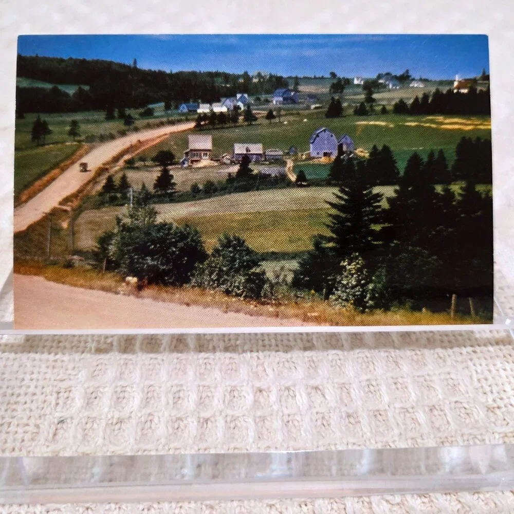 Vintage Farm on Prince Edward Island Canada Life Living Town Postcard UNP